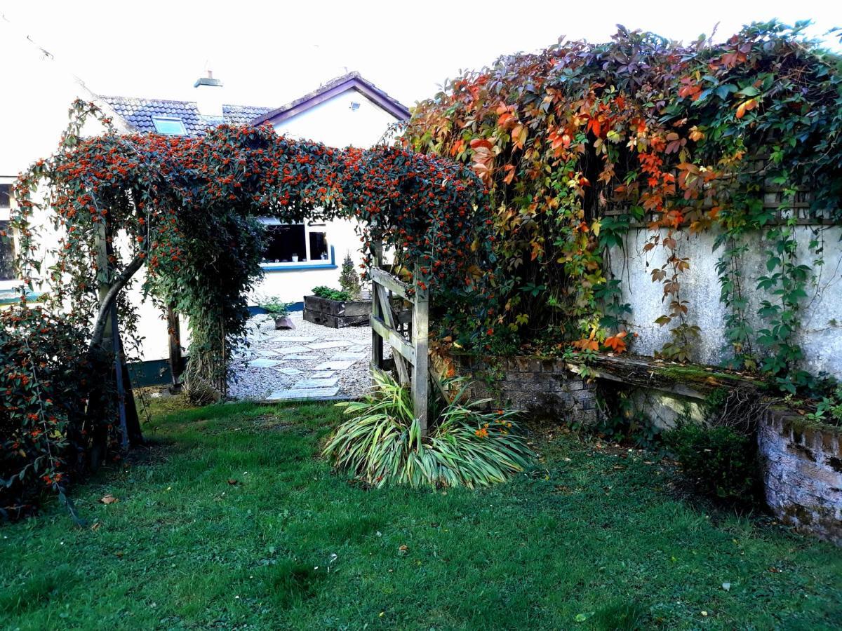 Country Home Tara Rathfeigh Extérieur photo